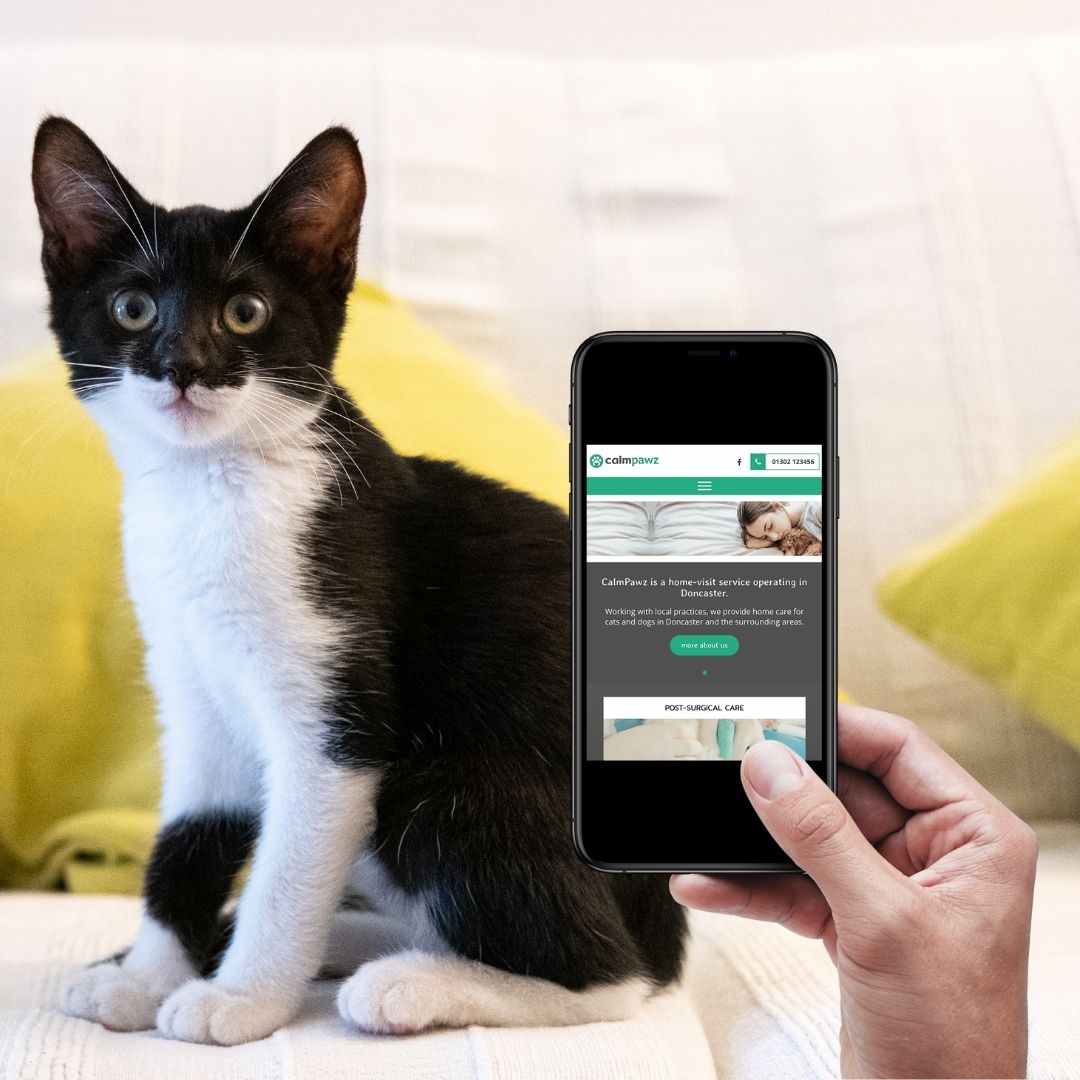 Welcome to our new website