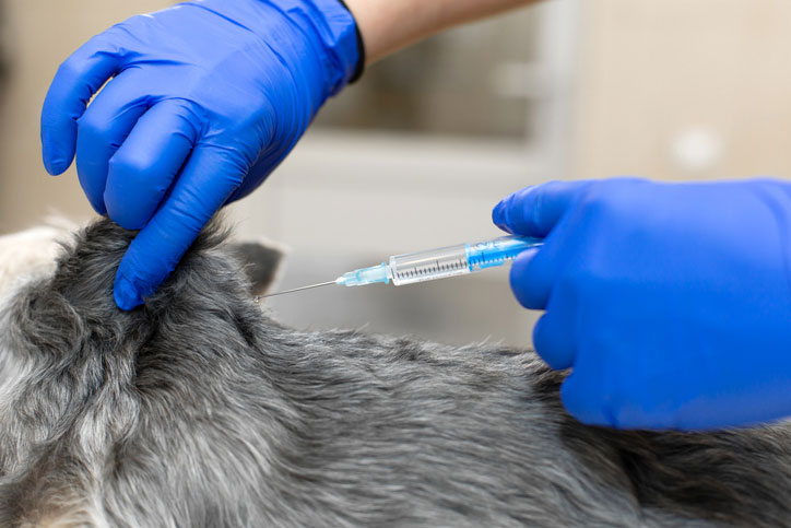 Vaccinations.. Your questions answered