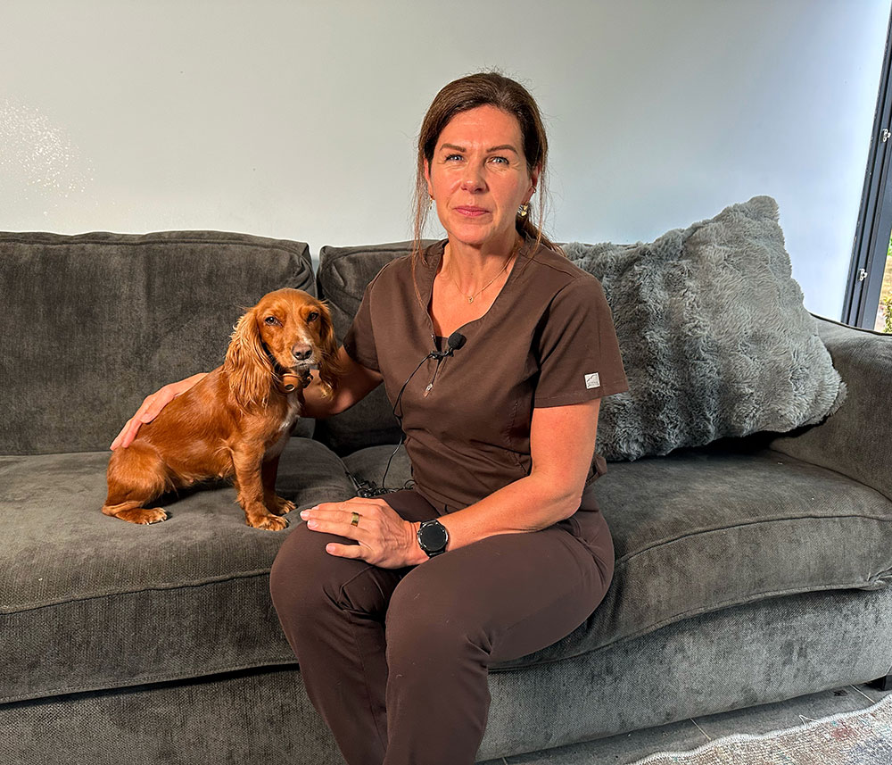 A pet resting at home with their owner during an end-of-life care visit